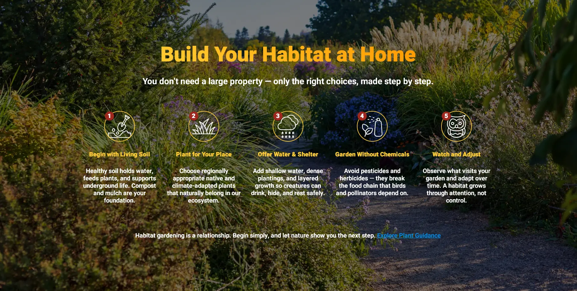 Build Your Habitat at Home plate, 5-steps from the Home Ground Habitats website.