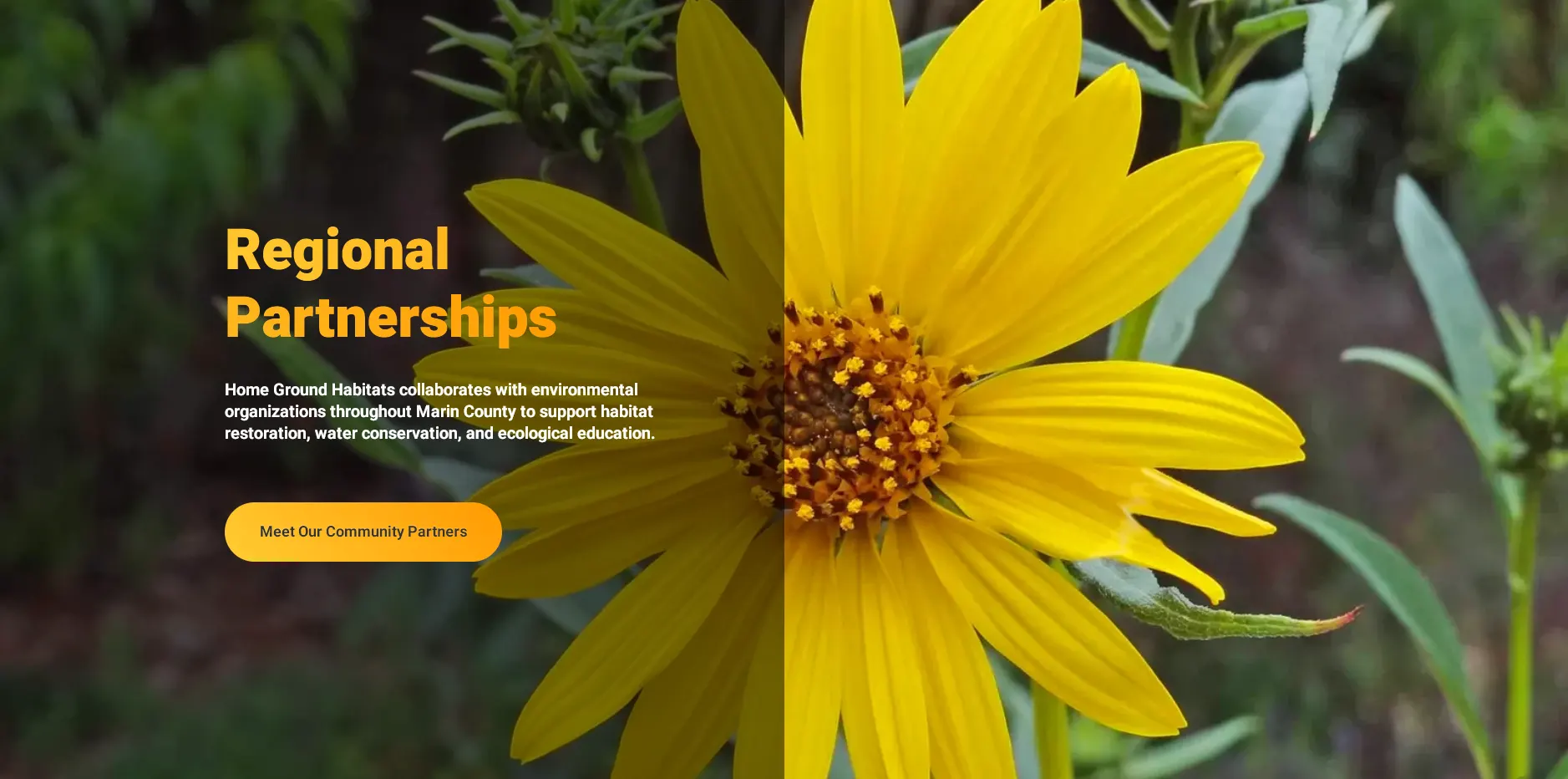 Partnerships plate section for the Home Ground Habitats website