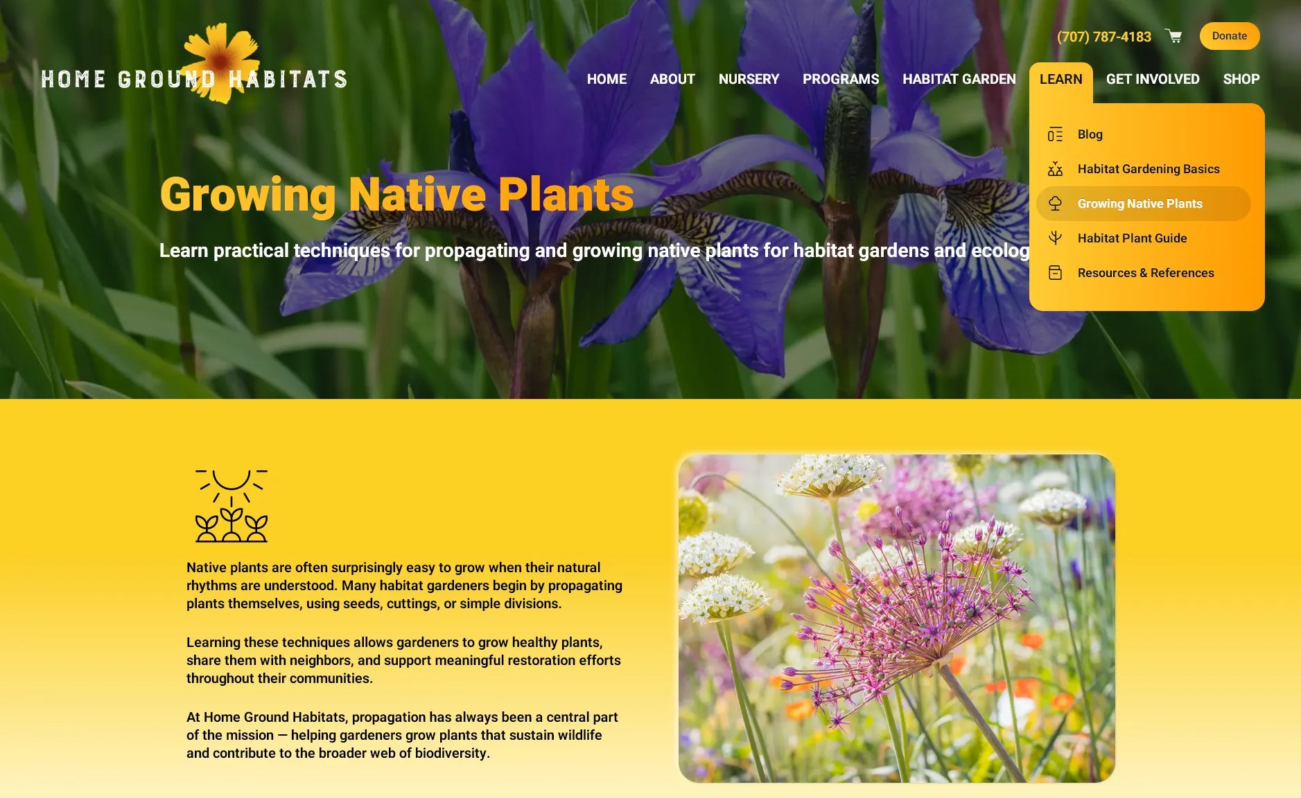 Learn, landing page, design with dropdown navigation.