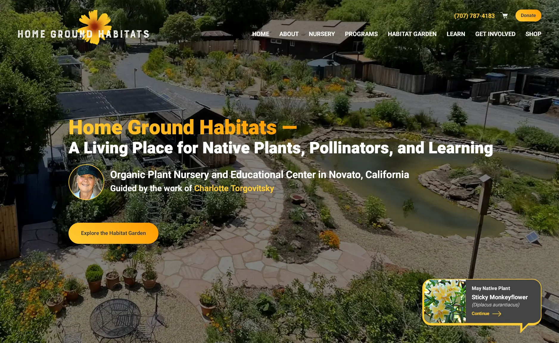 Web Design: Installation page