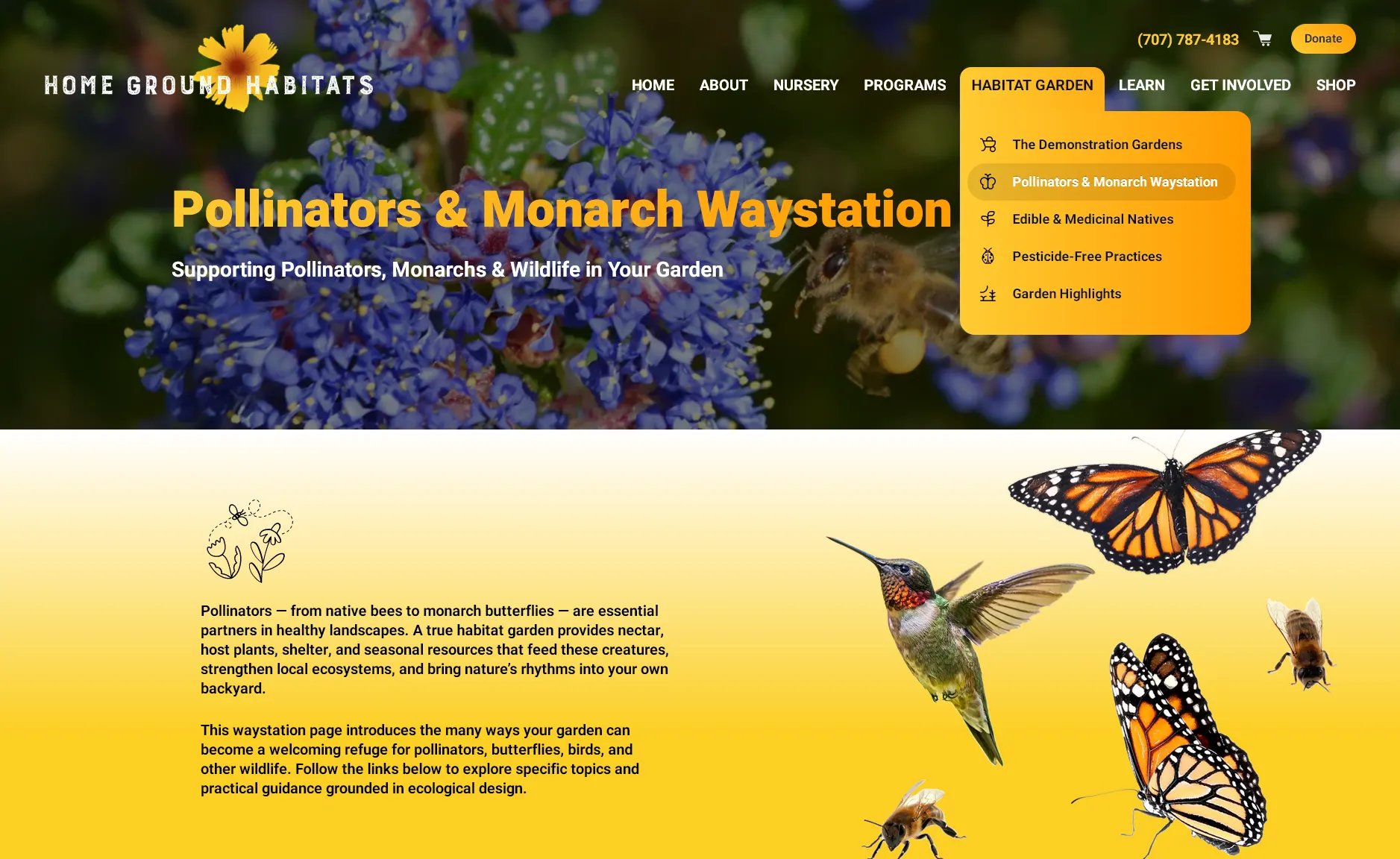 Web Design: Home page