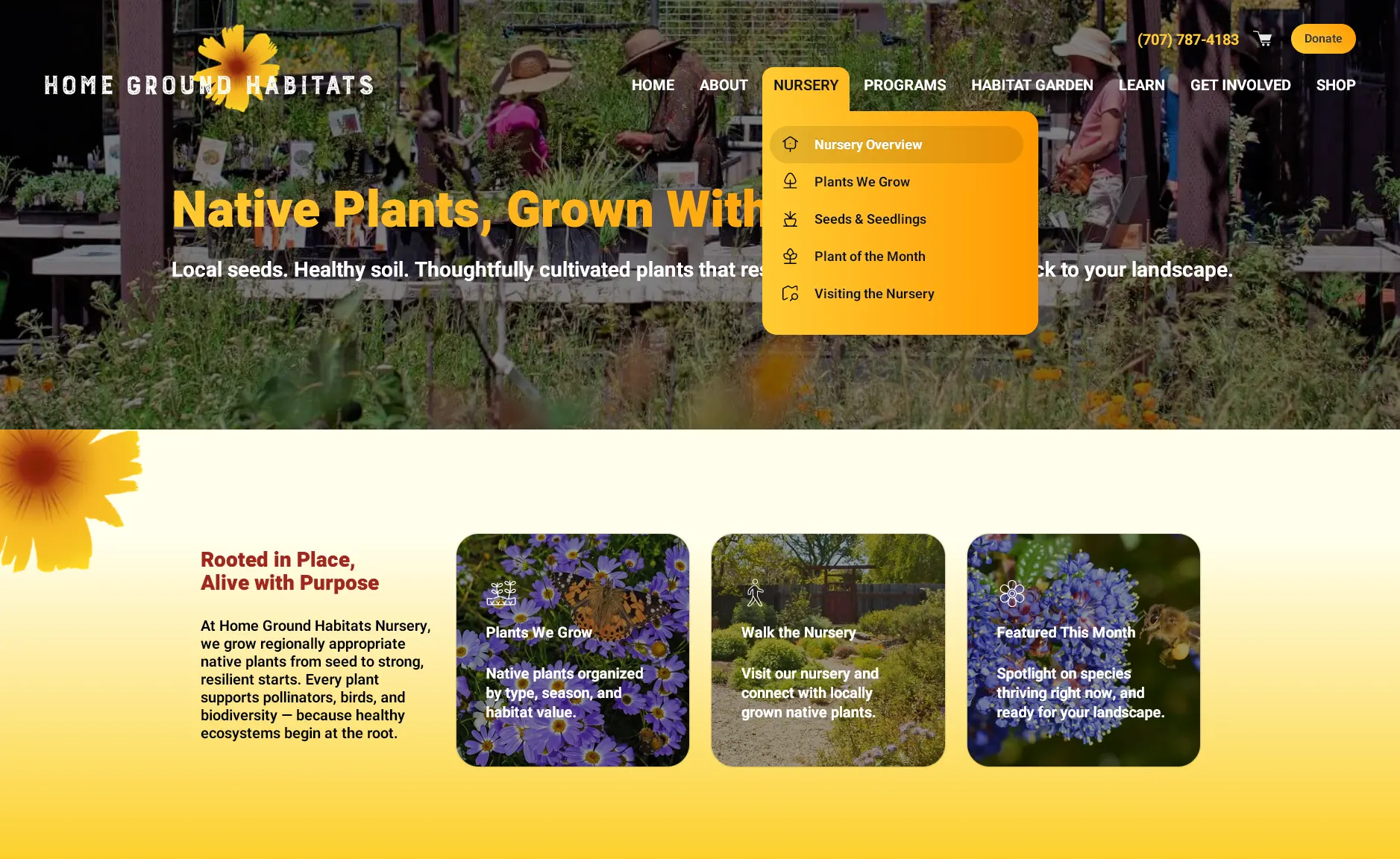 Web Design: Solutions page