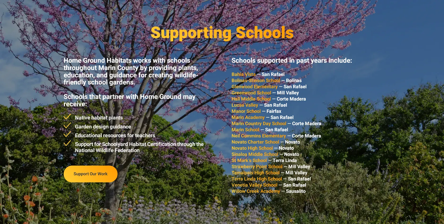 Supporting Schools plate, redesigned HGH website.